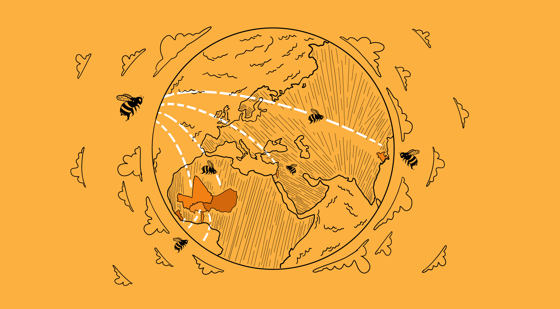 Be A Mercy Foundation Udhiya around the World